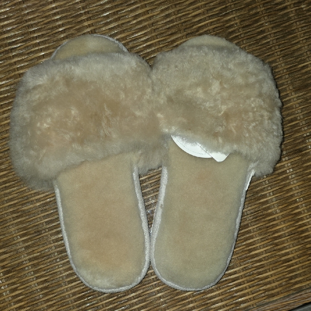 Women's Slippers